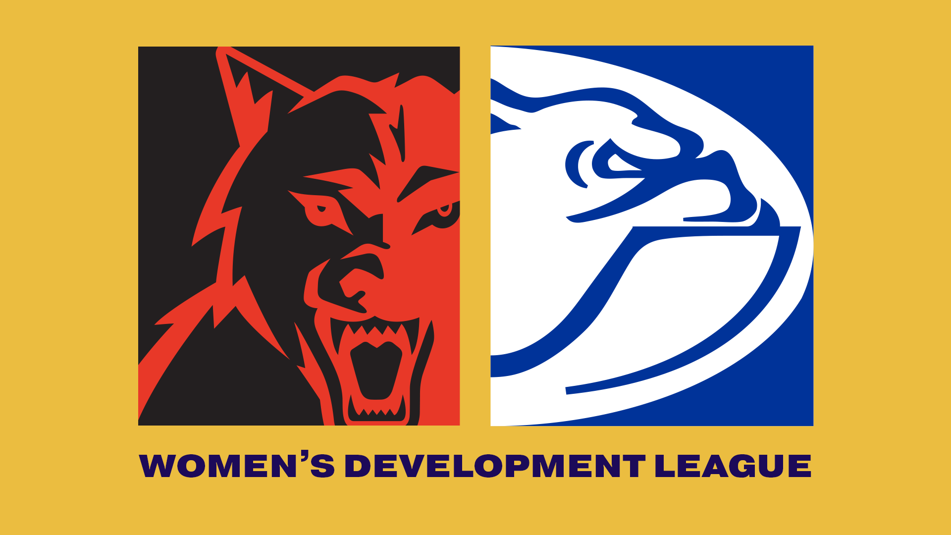 WAFC V CDFC | 2023 Women's Development League R7