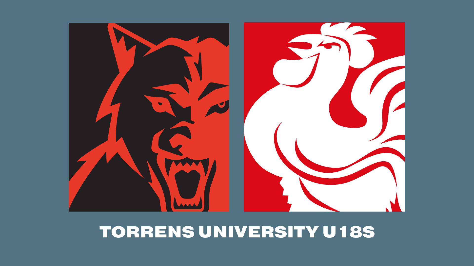 WAFC V NAFC | 2023 Torrens University U16 R2