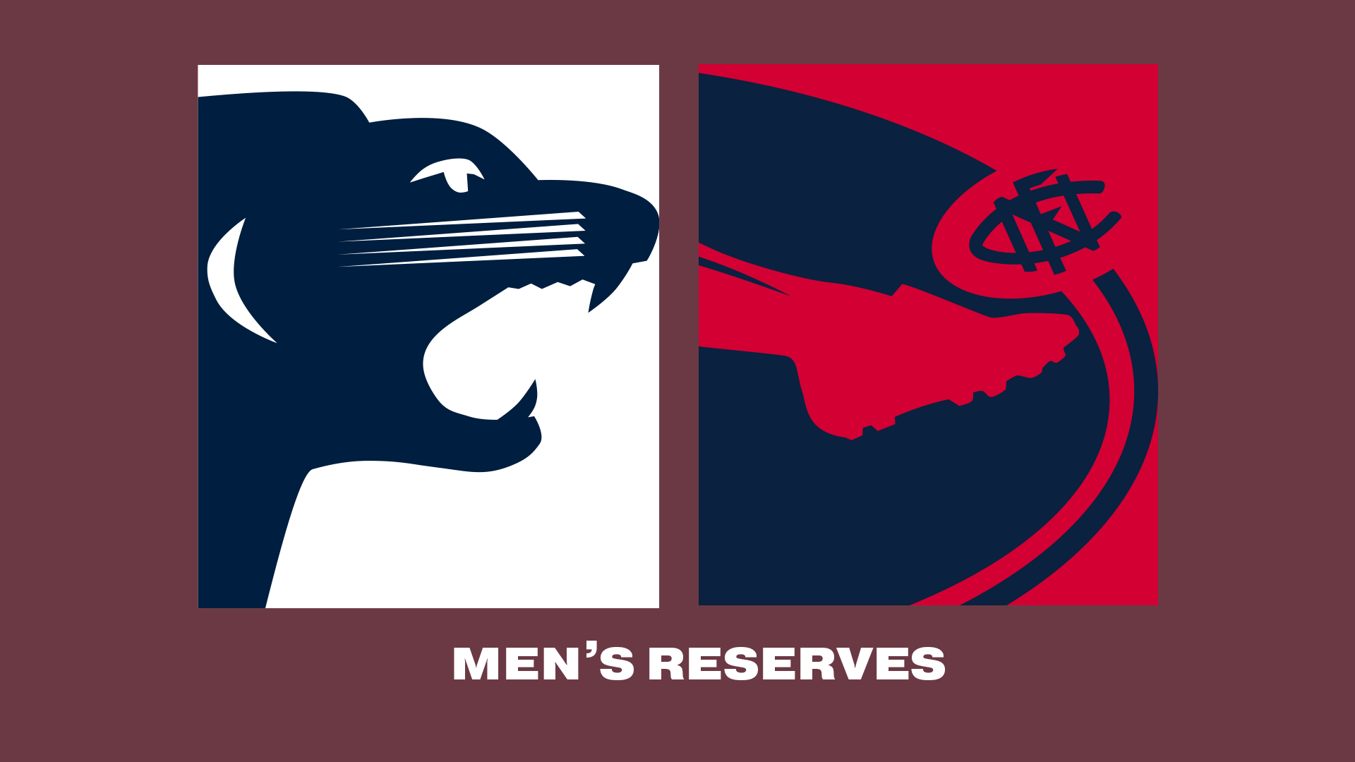 SAFC V NFC | 2023 Men's Reserves R10