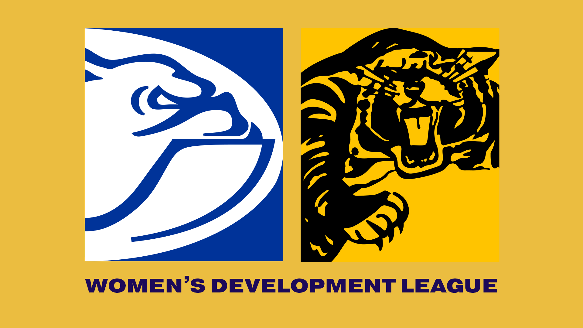 CDFC V GFC | 2023 Women's Development League R5