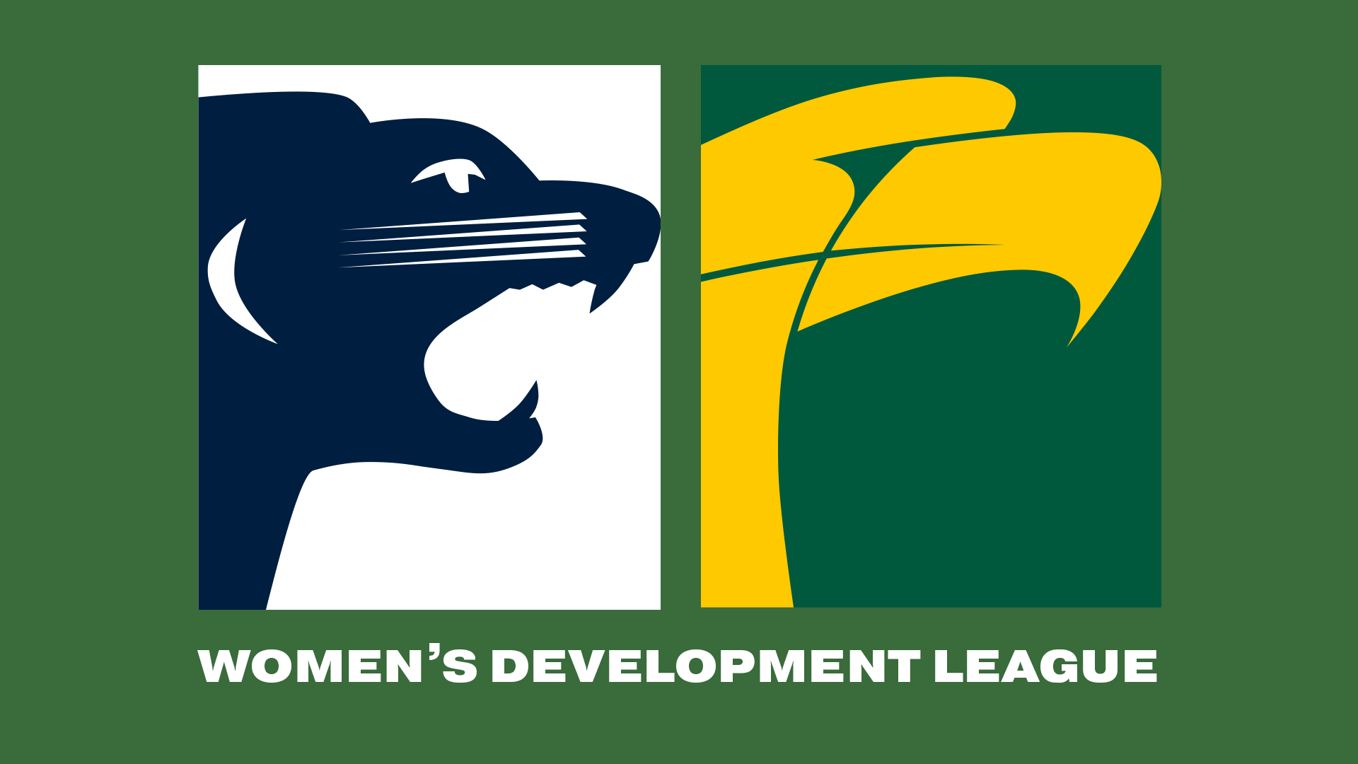 SAFC V WWTFC | 2024 Women's Development League R4