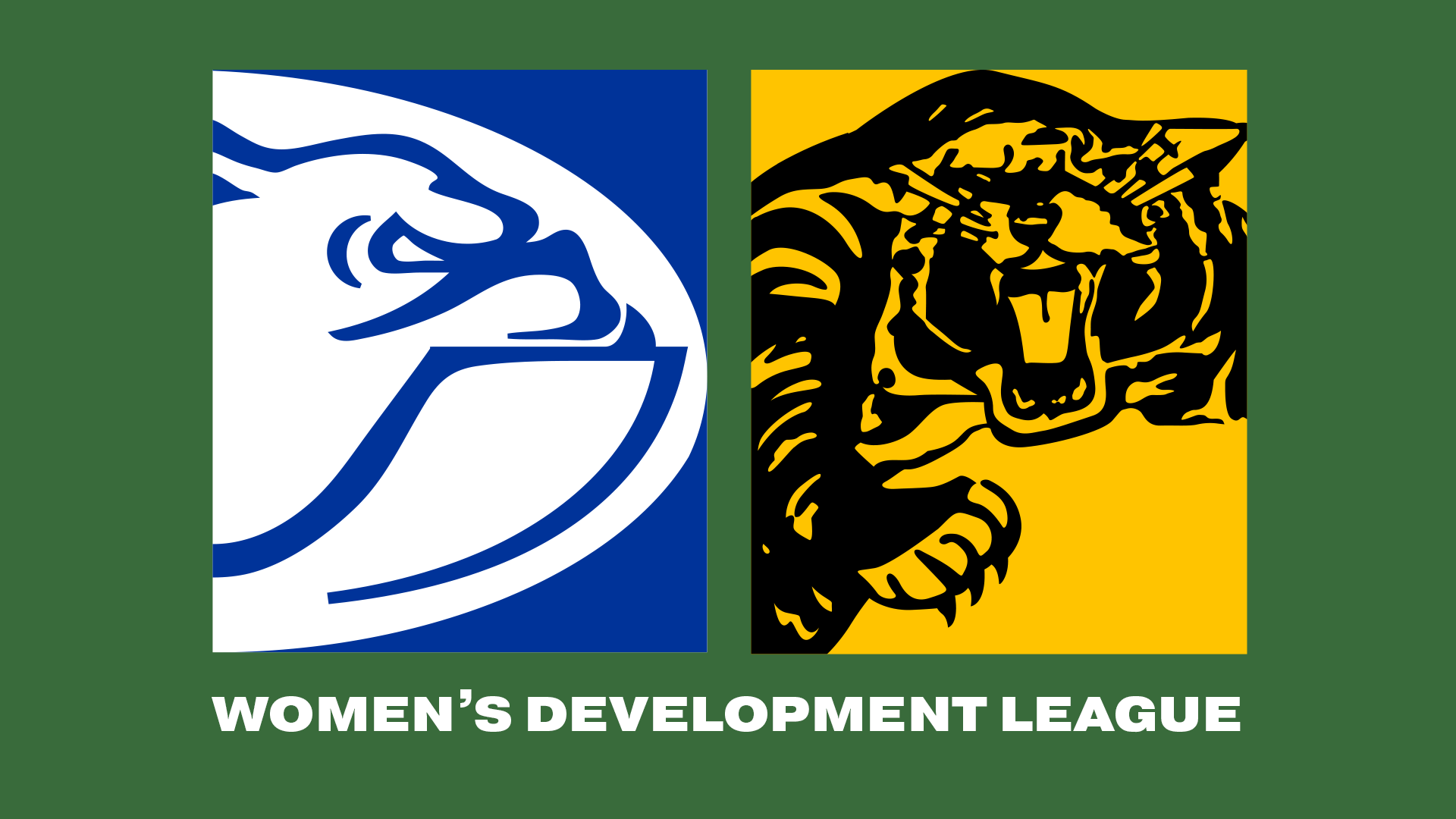 CDFC V GFC | 2024 Women's Development League R3