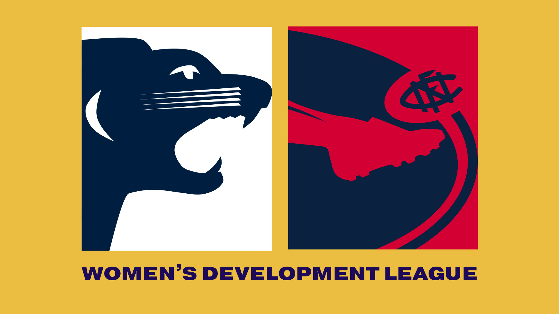 SAFC V NFC | 2023 Women's Development League R2