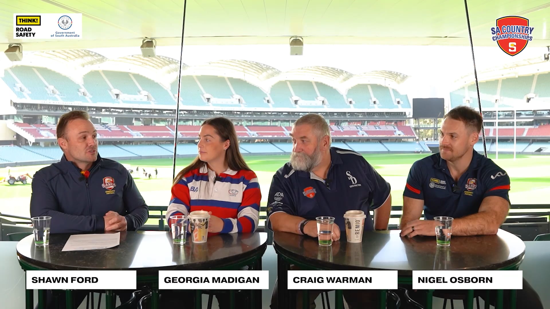 THINK! Road Safety | Drive Safely Panel