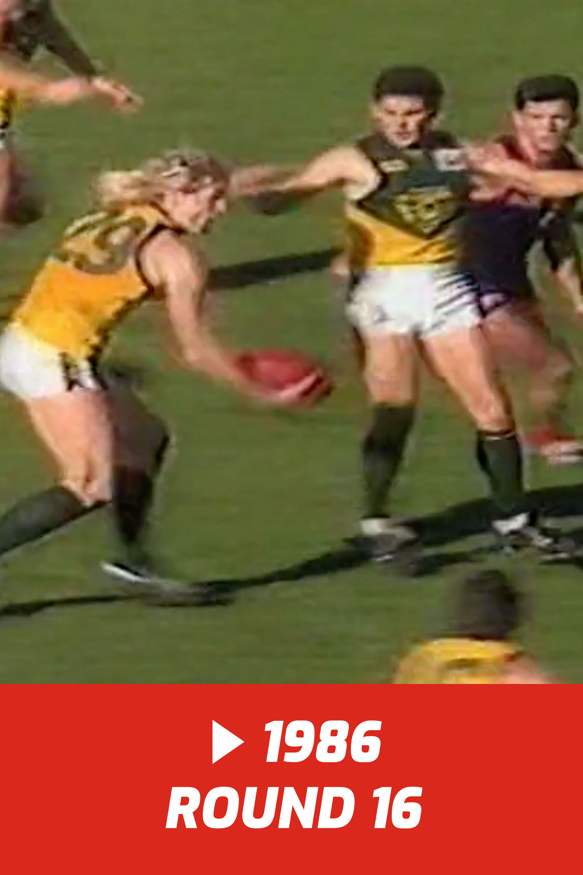 1986 Round 16 Woodville V Norwood 