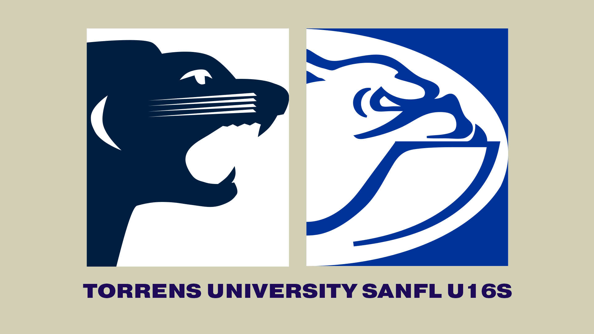 SAFC V CDFC | 2023 Torrens University U16 R15