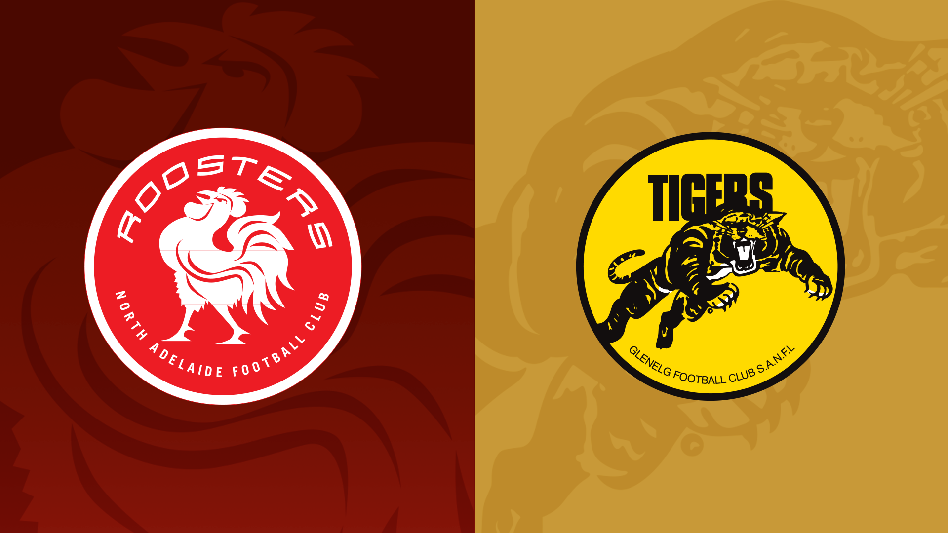 NAFC v GFC | SANFL U16s RD10 - 06/07/2025, 03:44:21