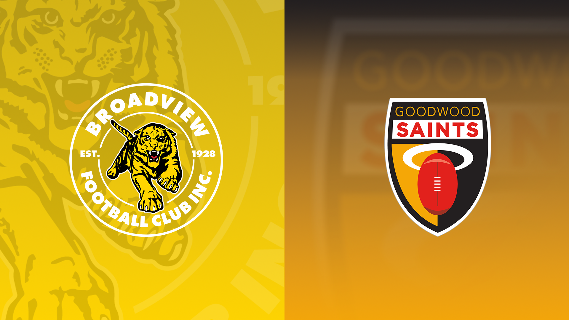 Broadview v Goodwood | APM Inclusive League 2025 RD8 - 07/19/2025, 08:49:21