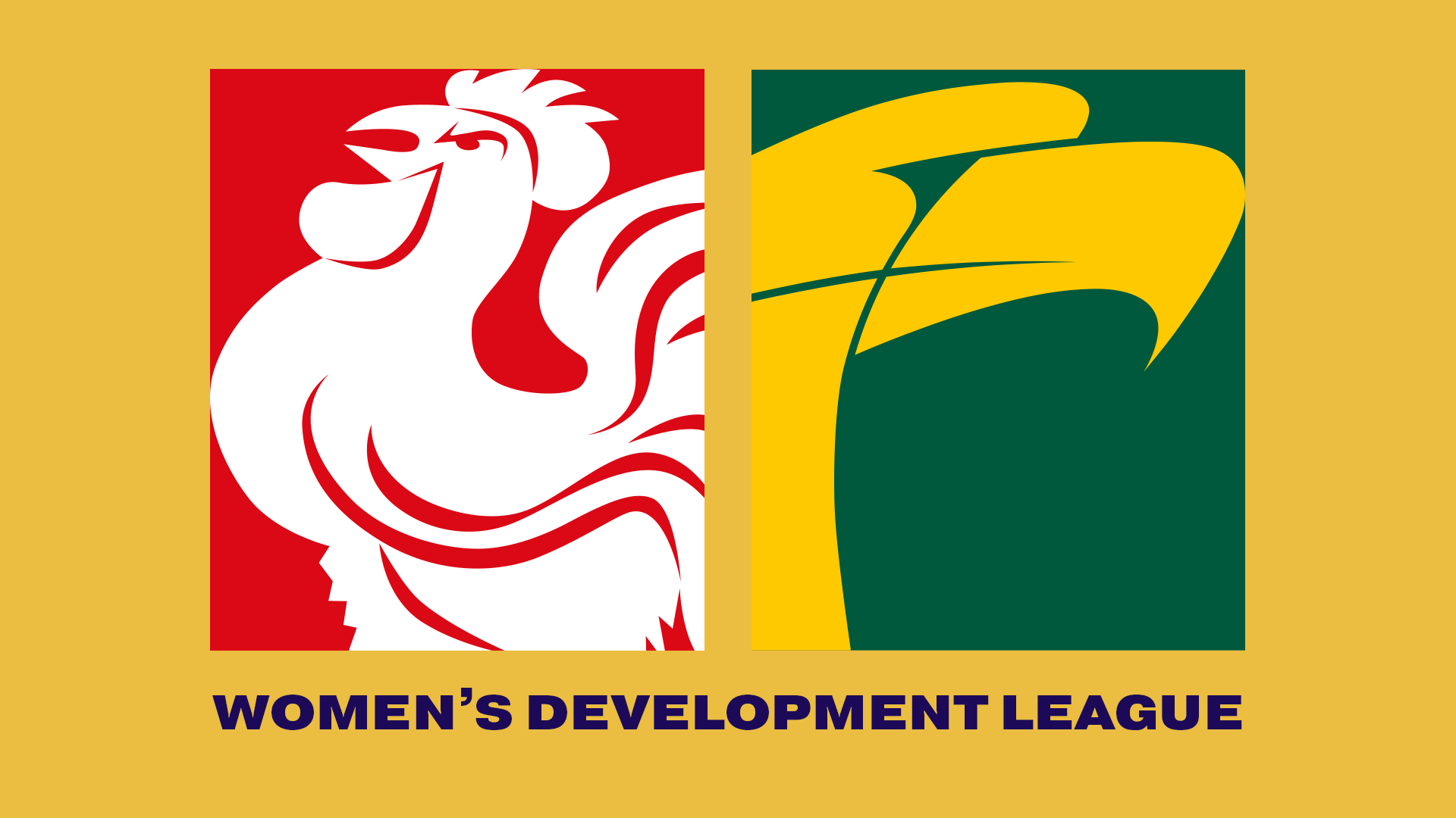 NAFC V WWTFC | 2023 Women's Development League R3