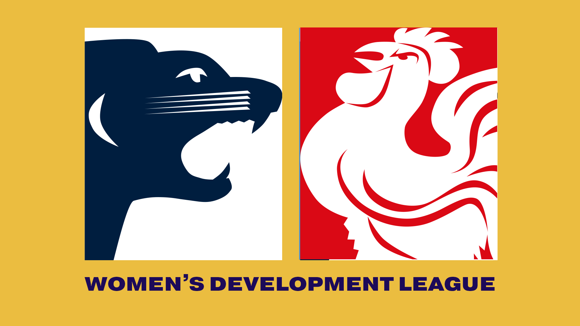 SAFC V NAFC | 2023 Women's Development League R5