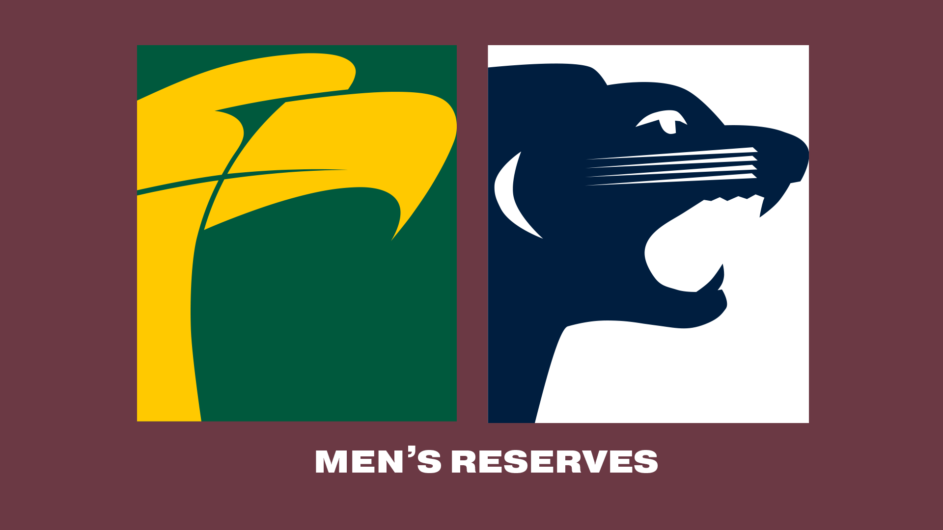 WWTFC V SAFC | 2023 Men's Reserves R11