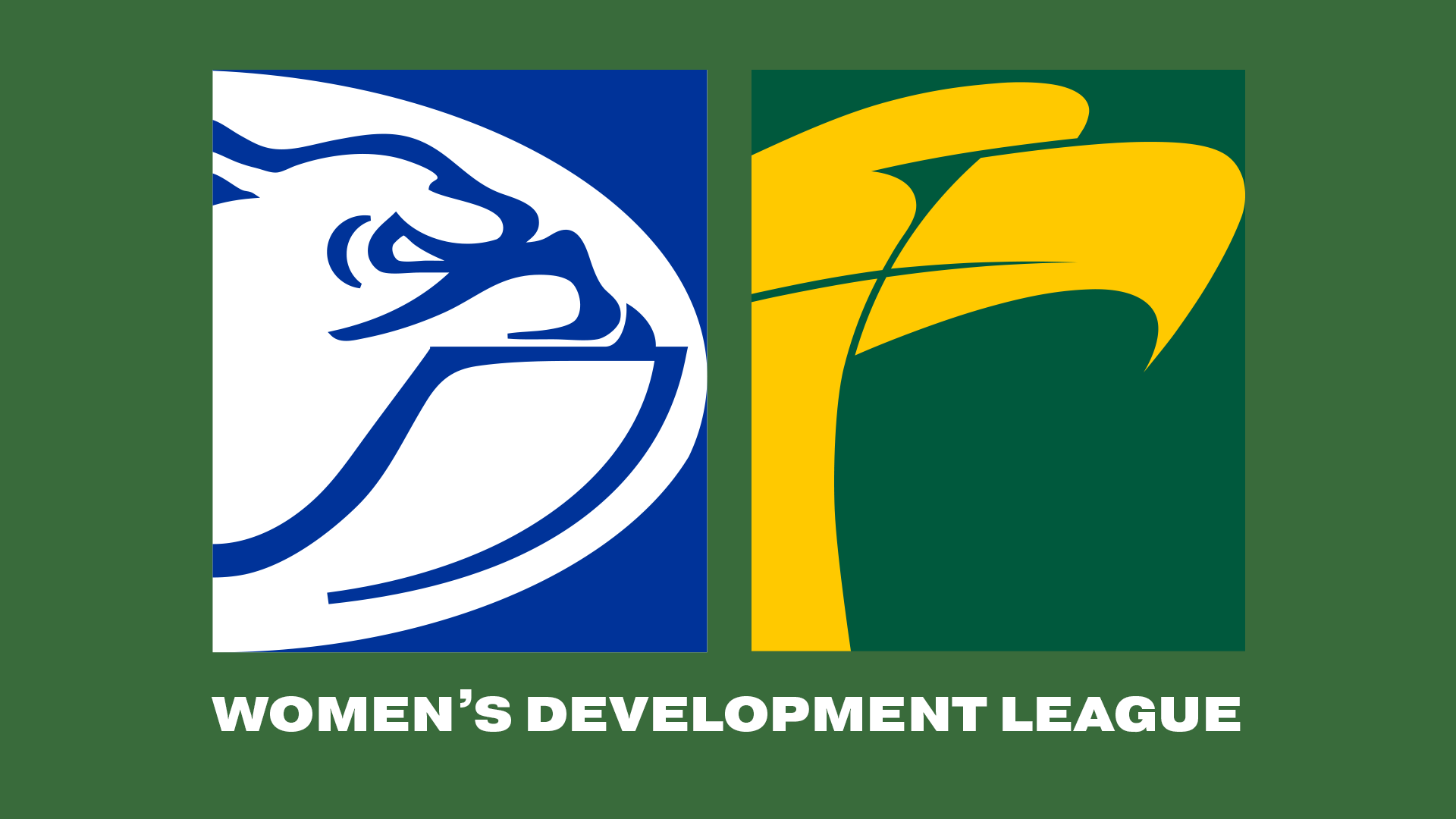 CDFC v WWTC | 2024 Women's Development League R2