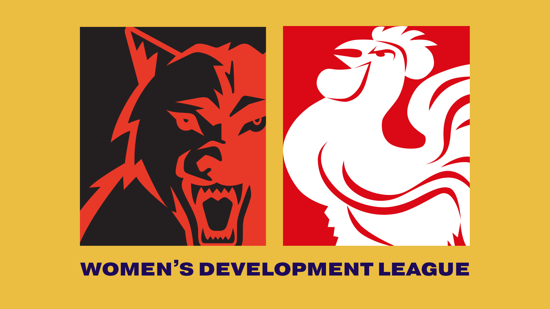 WAFC V NAFC | 2023 Women's Development League R2