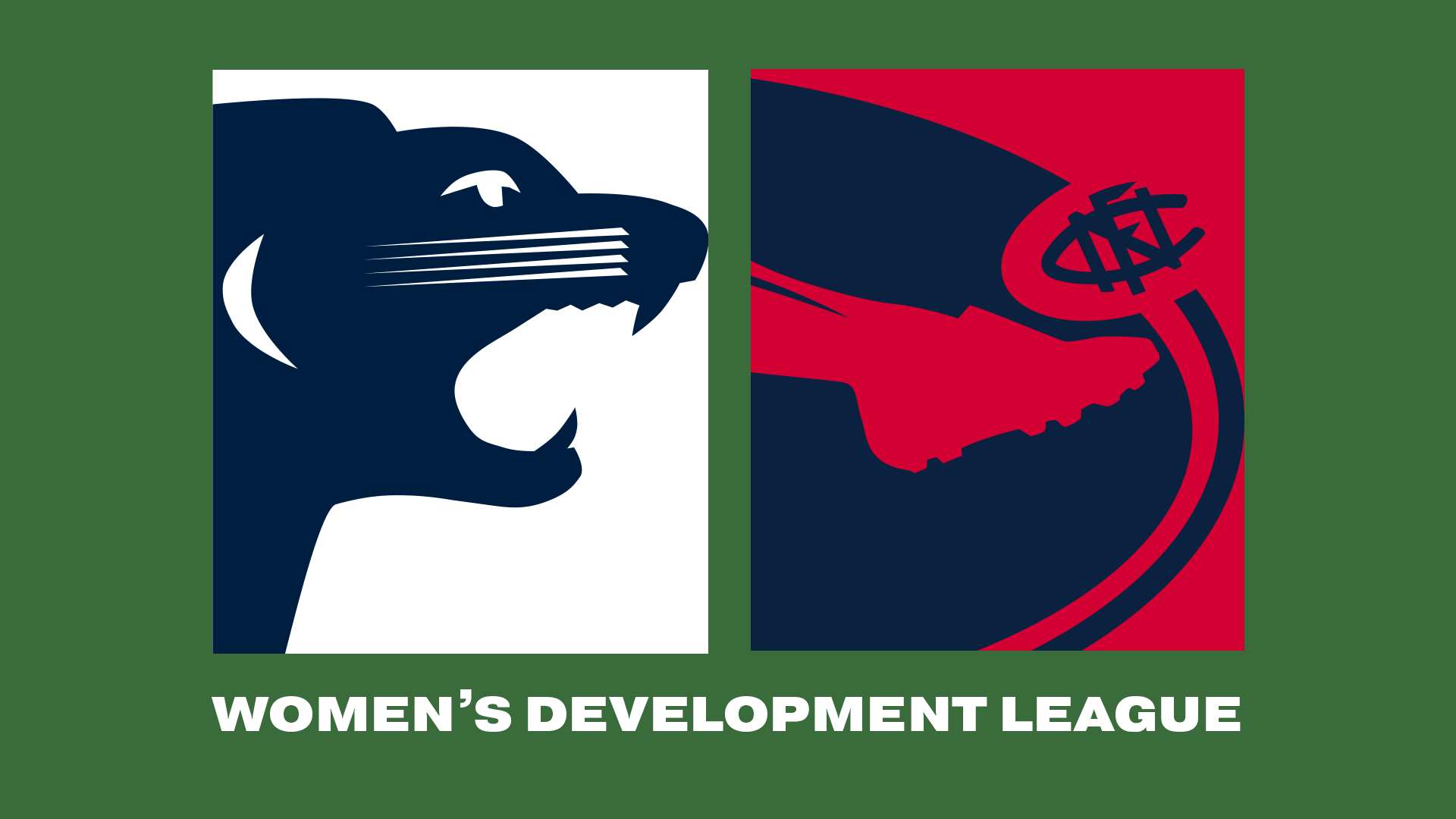 SAFC v NFC | 2024 Women's Development League R2