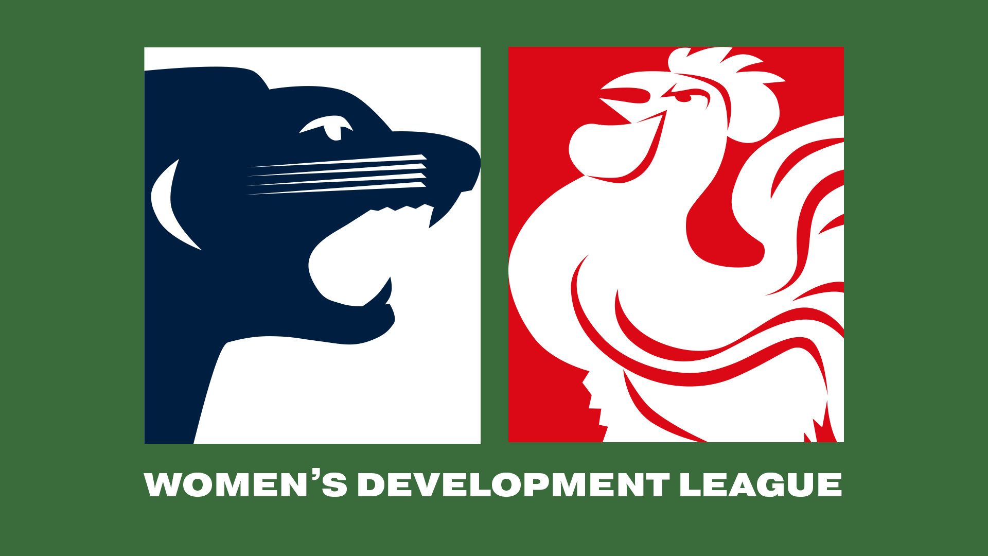 SAFC V NAFC | 2024 Women's Development League R3