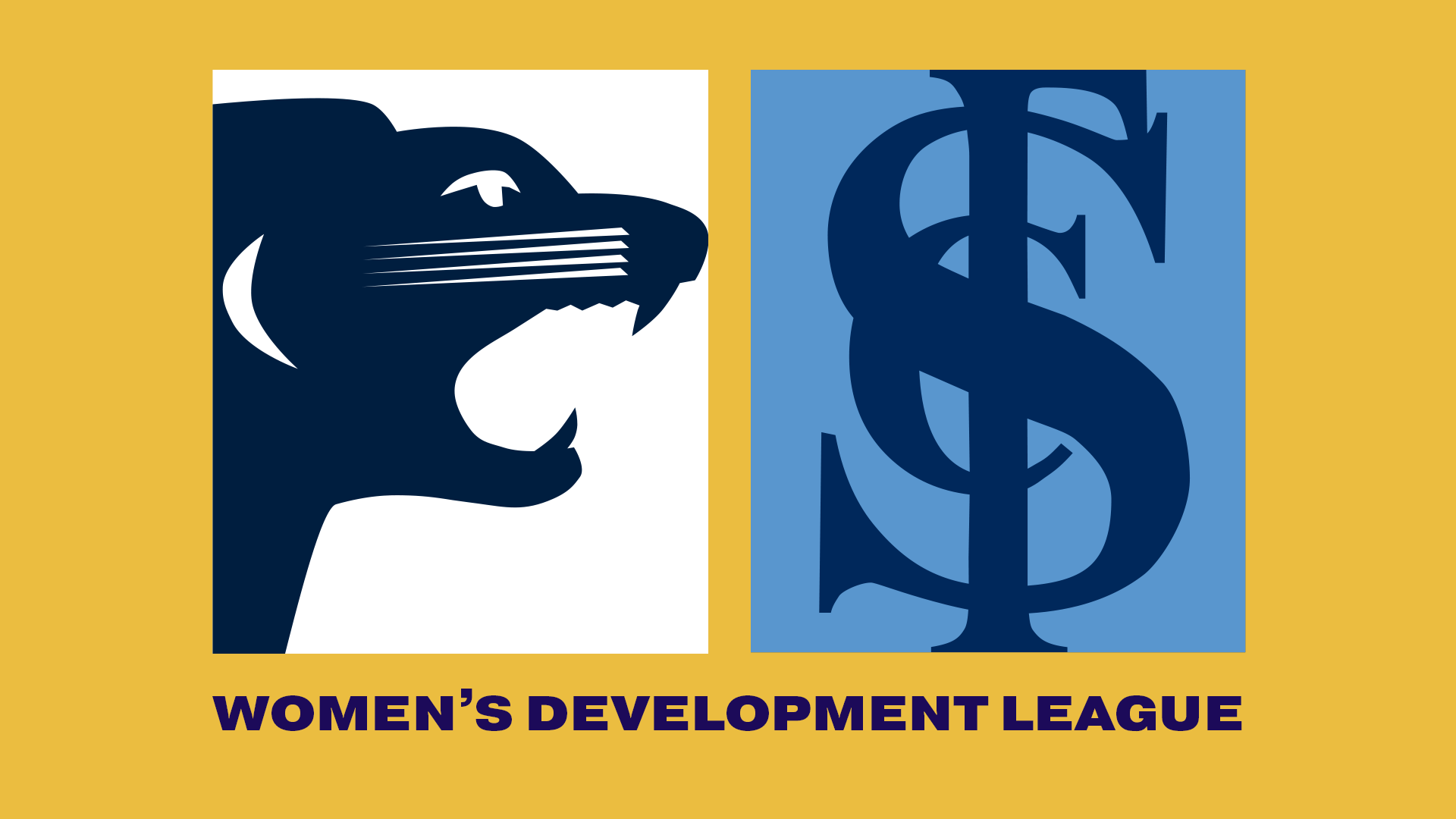 SAFC V SFC | Women's Development League R1