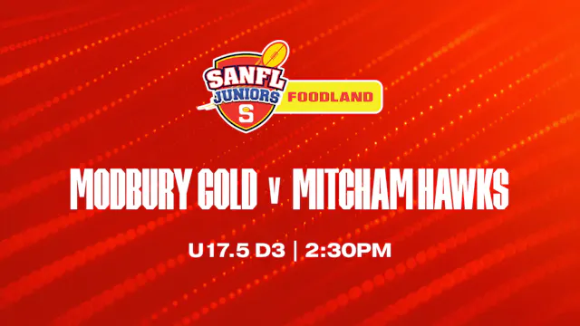 U17.5 D3 | Modbury Gold v Mitcham Hawks 2026