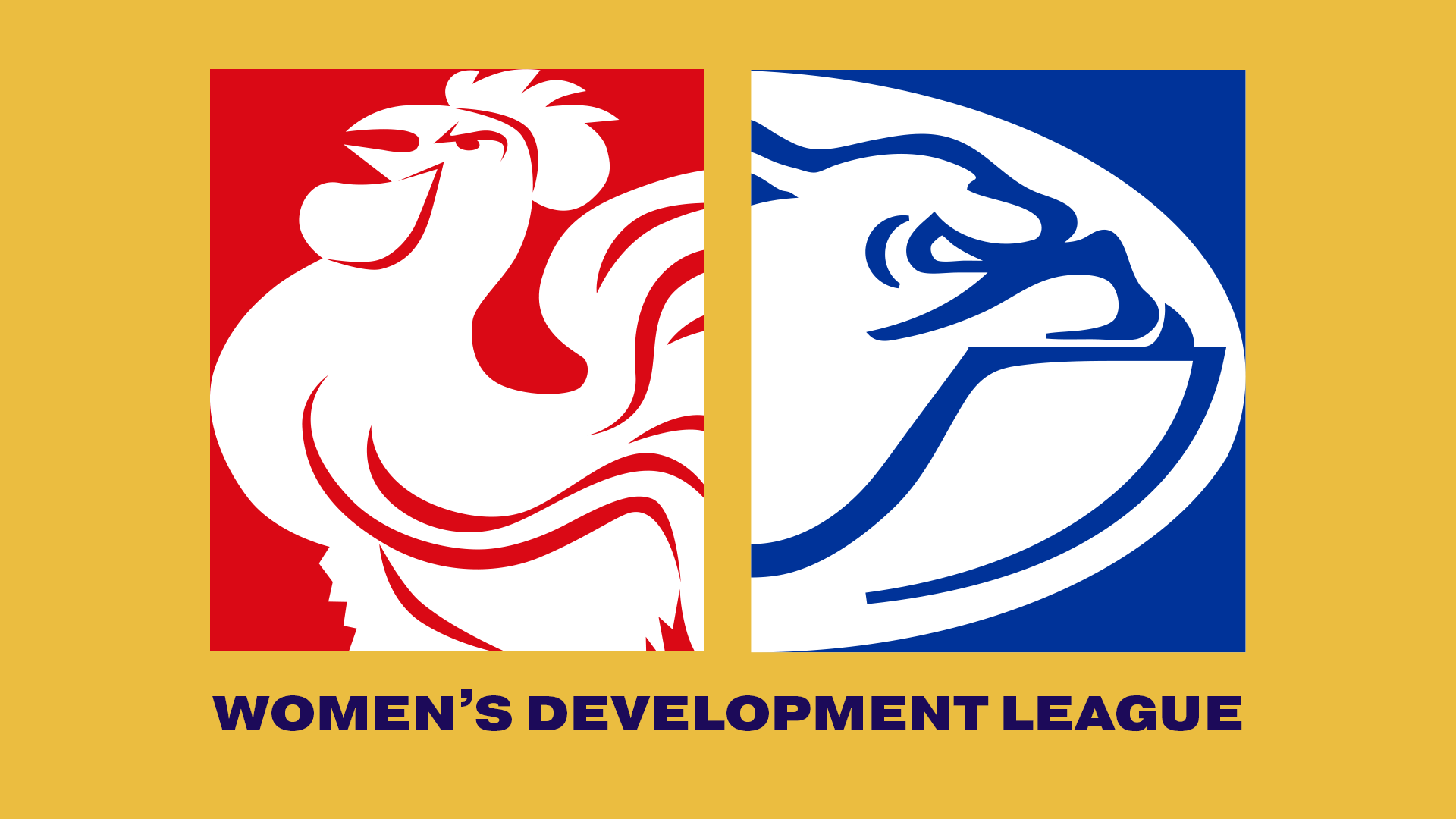 NAFC V CDFC | 2023 Women's Development League R6