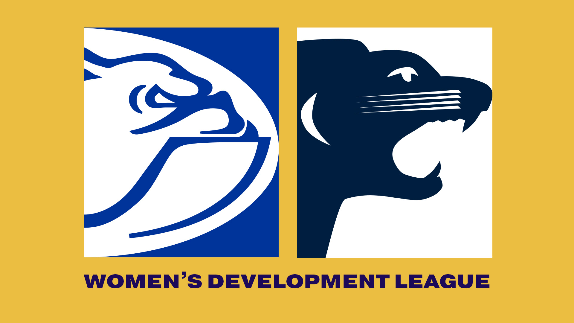 CDFC V SAFC | 2023 Women's Development League R4