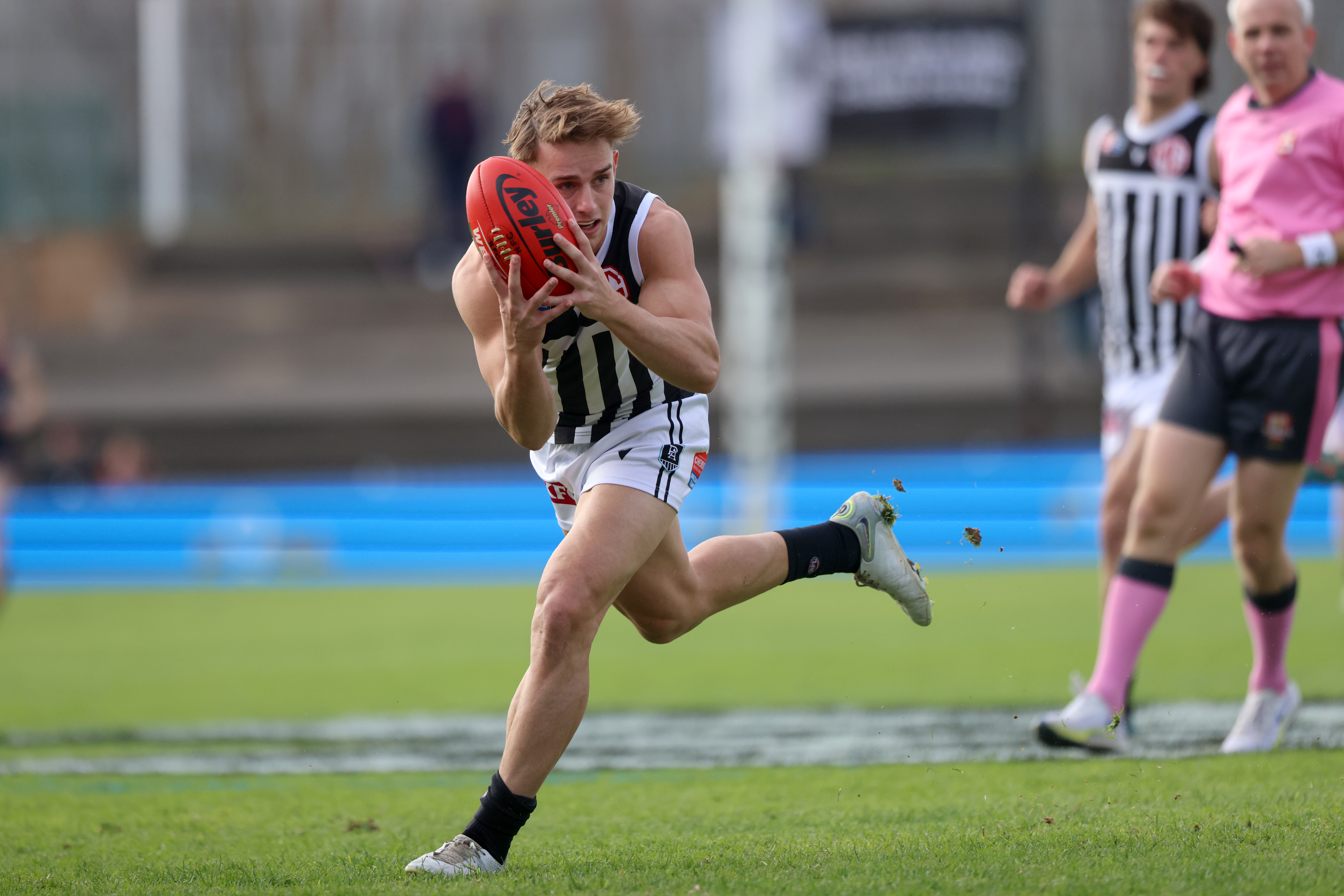 NAFC v PAFC | 2024 Men's League Trial Match