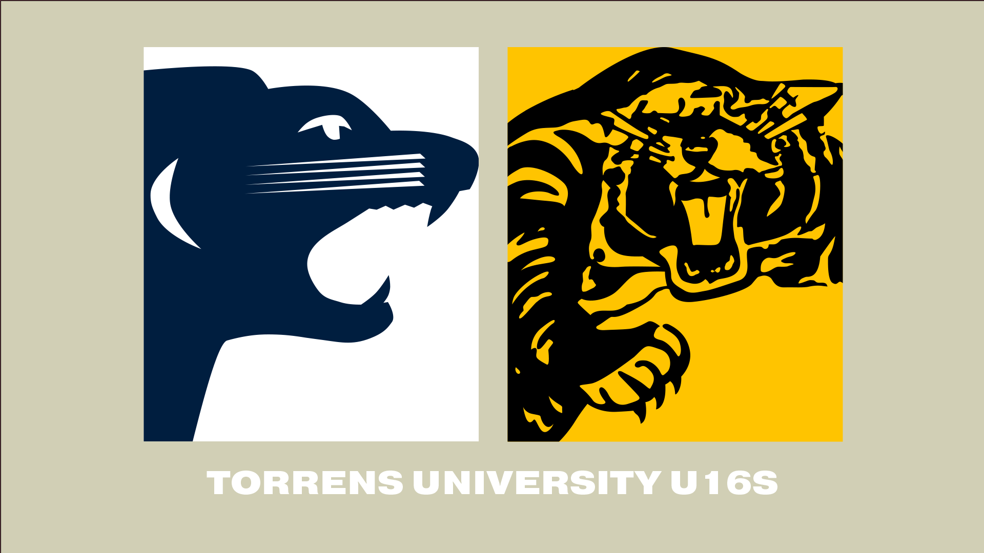 SAFC V GFC | 2023 Torrens University SANFL U16 R4