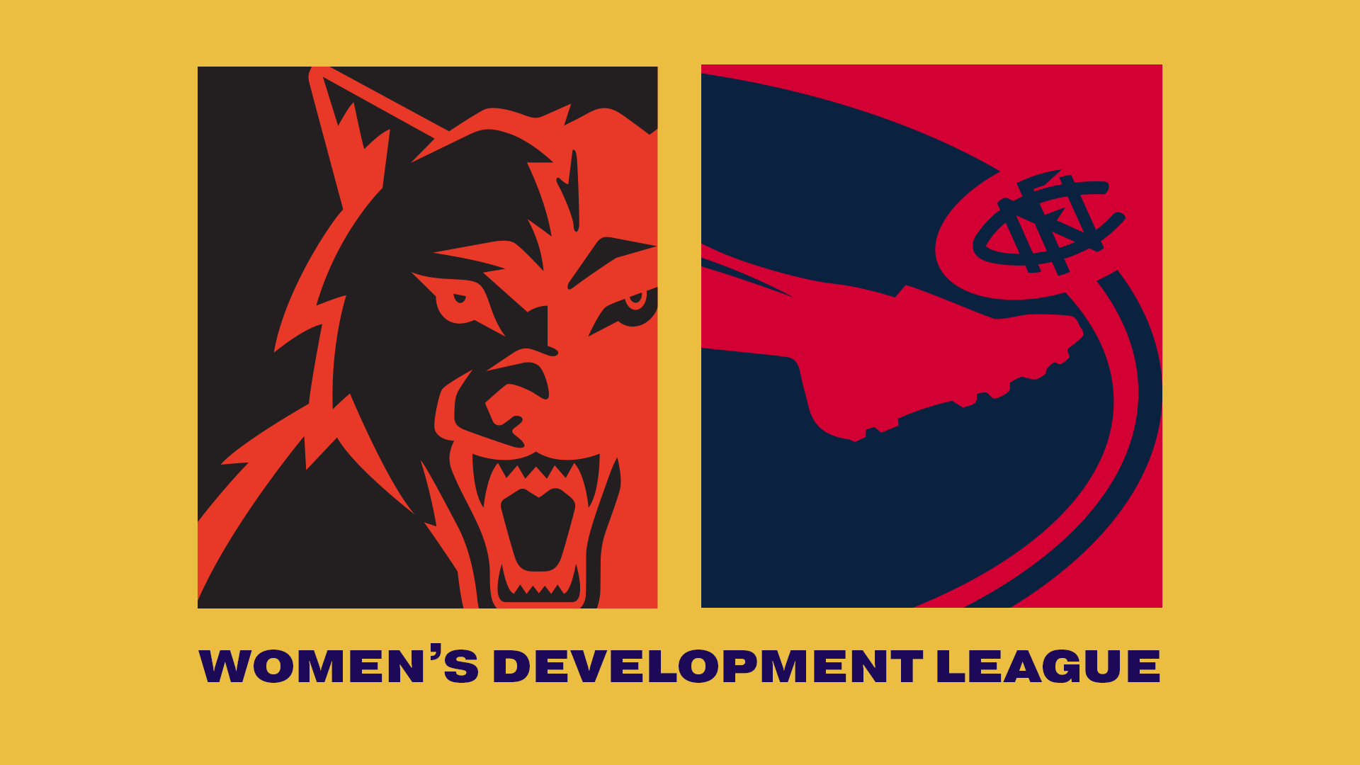 WAFC V NFC | 2023 Women's Development League R6