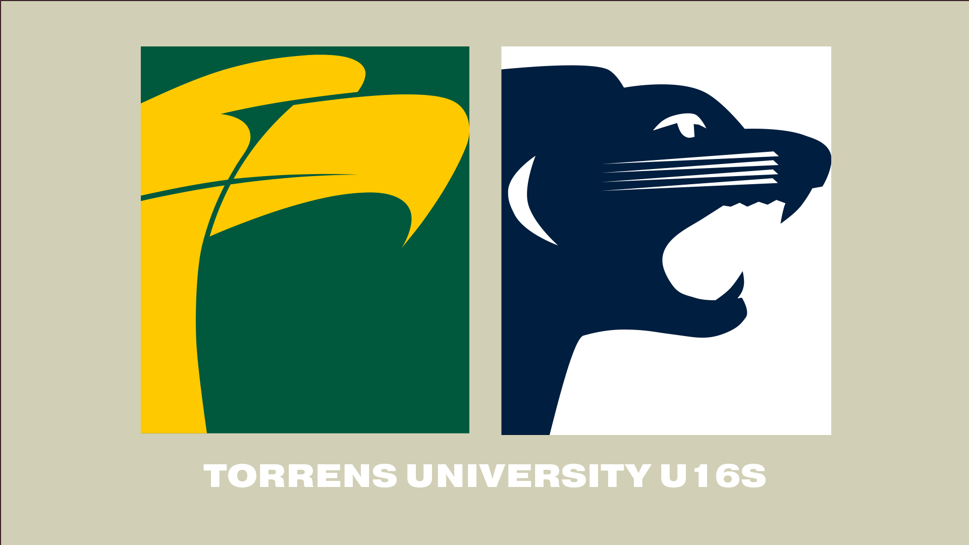 WWTFC V SAFC | 2023 Torrens University U16 R3