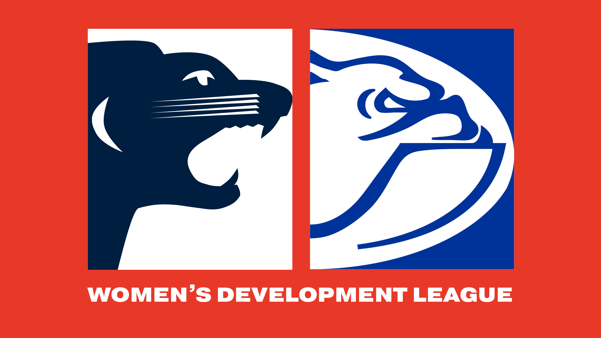 SAFC v CDFC | 2024 Women's Development League R7