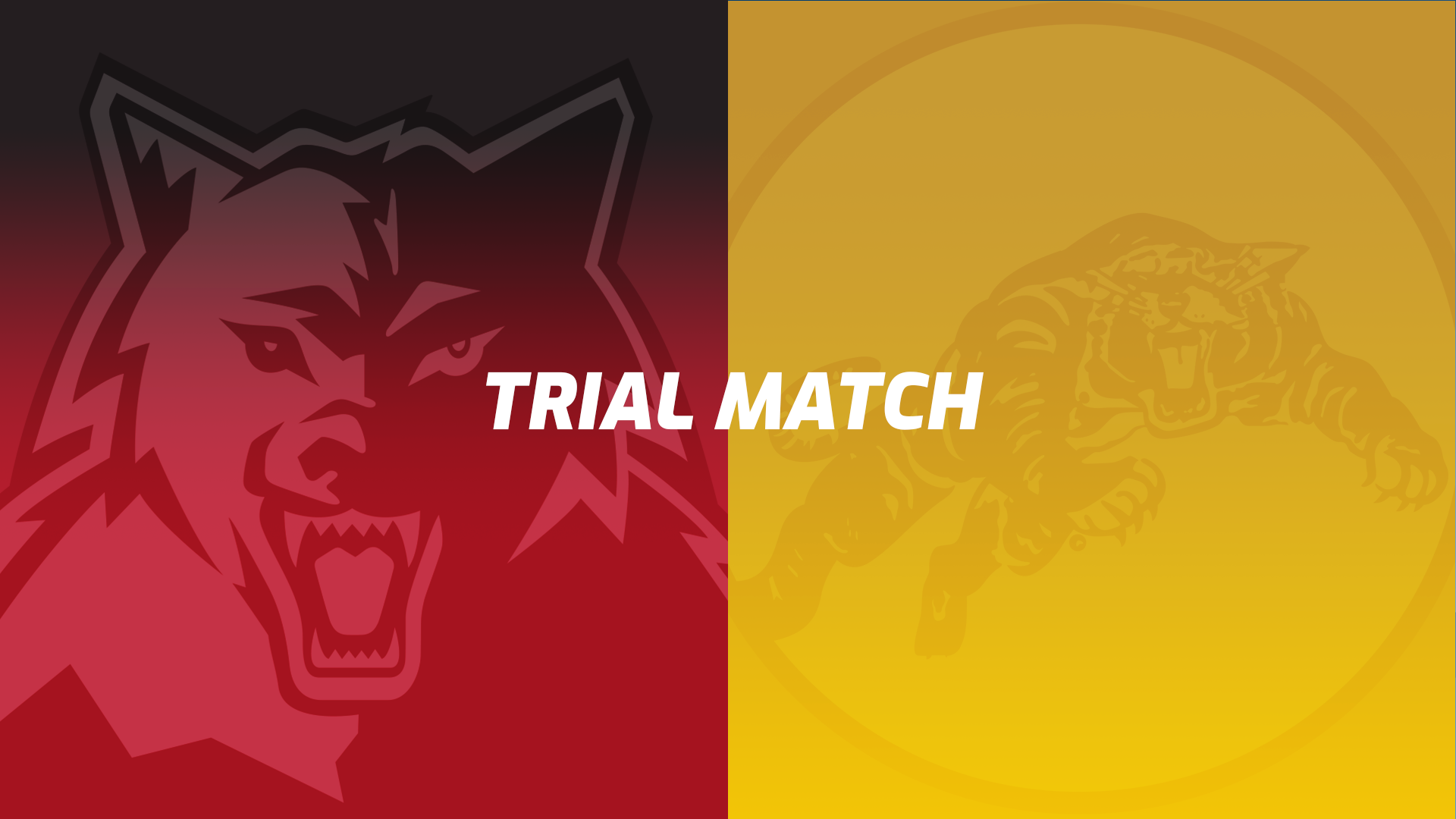 WAFC v GFC | TRIAL MATCH | 19 MARCH