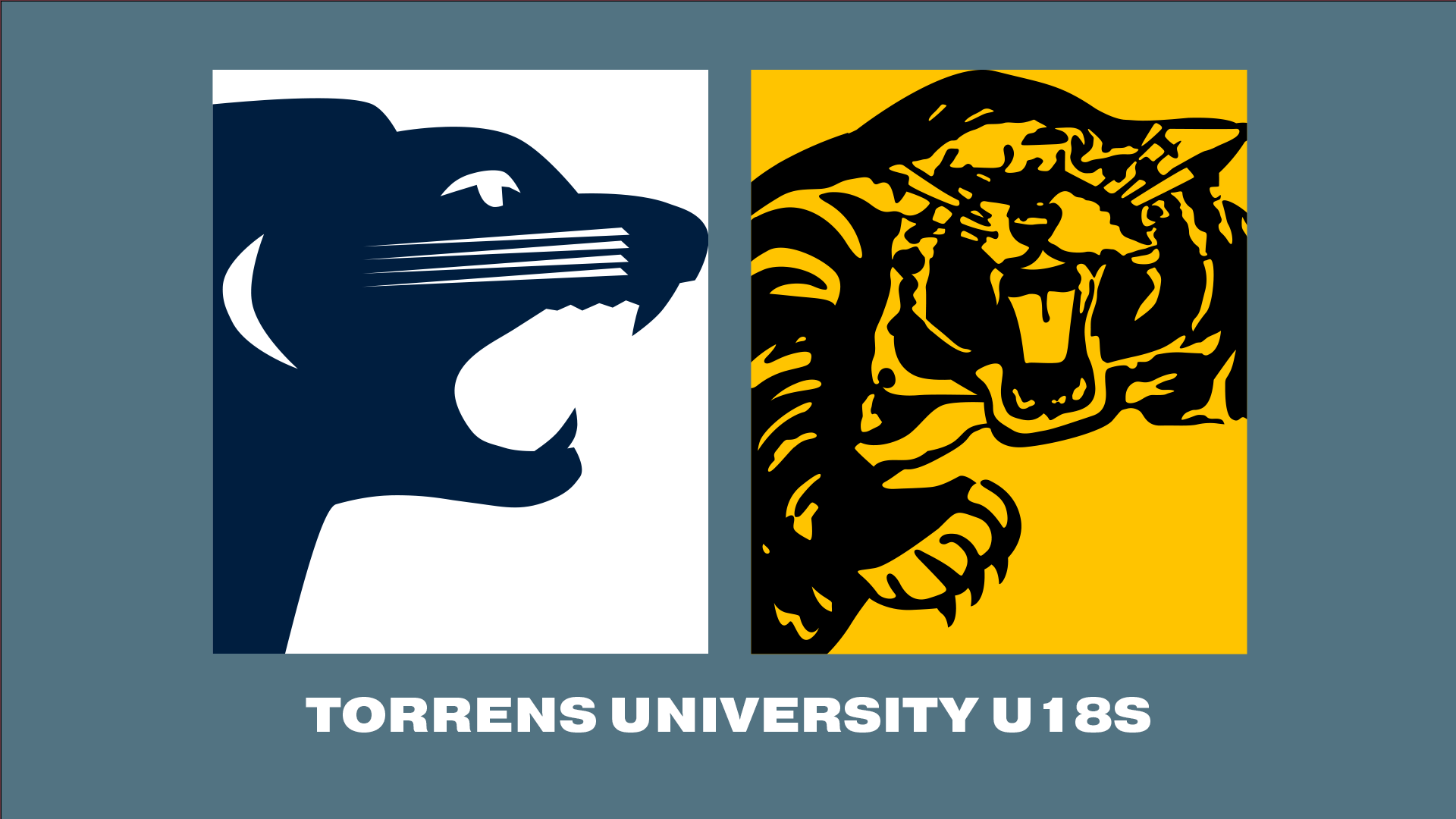SAFC V GFC | 2023 Torrens University SANFL U18 R4