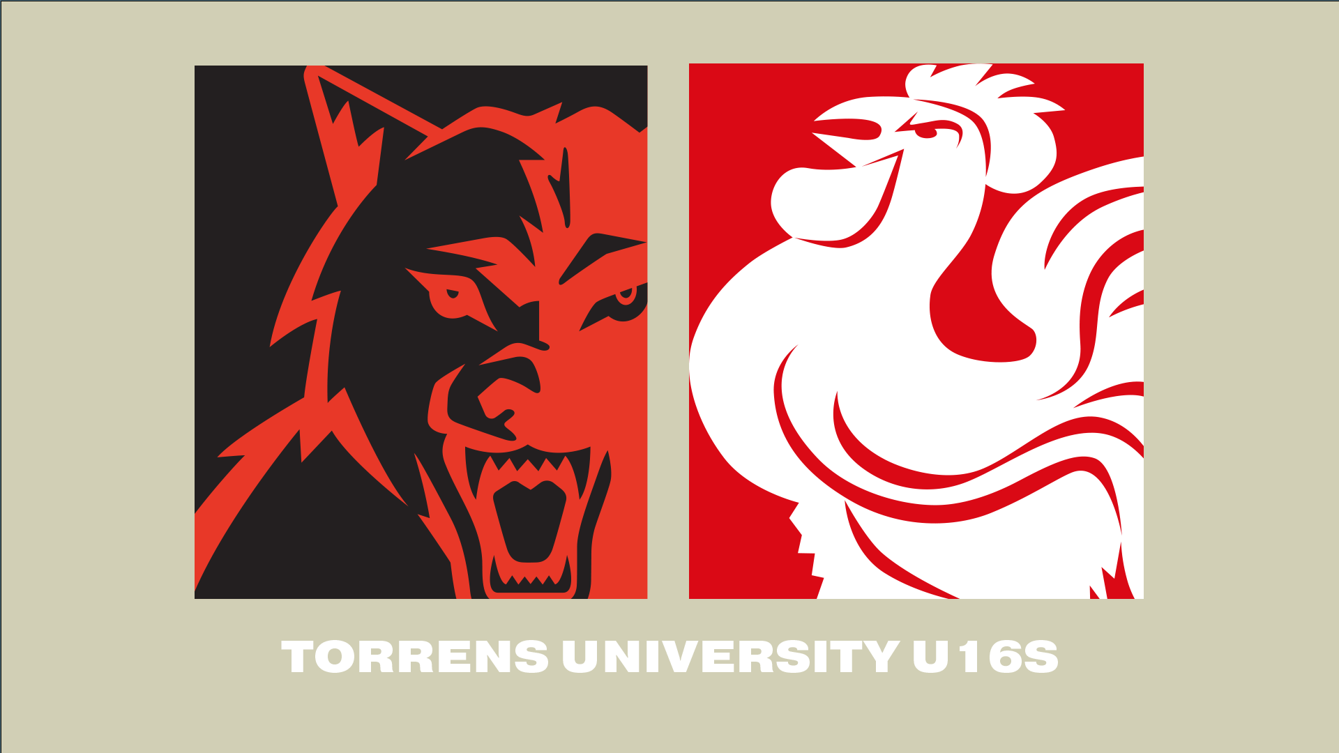 WAFC V NAFC | 2023 Torrens University U16 R2