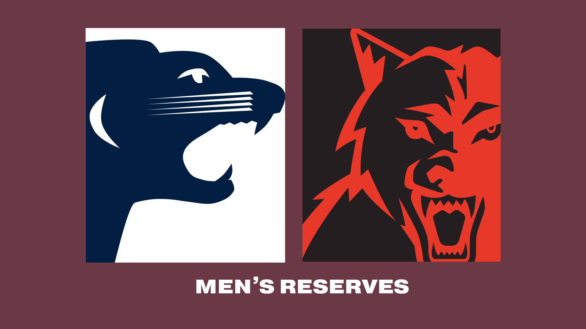 SAFC V WAFC | 2023 Men's Reserves R15