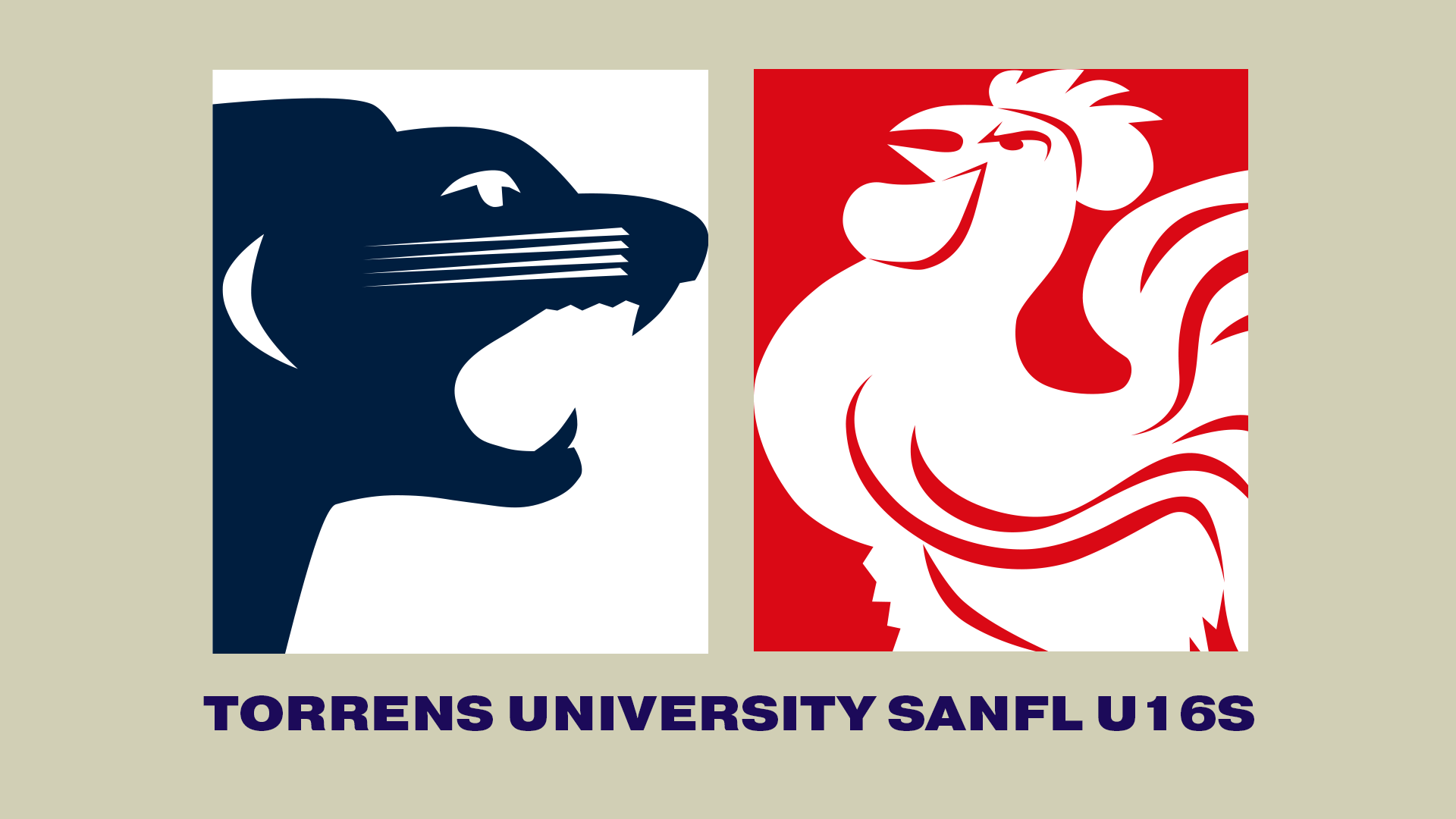 SAFC V NAFC | 2023 Torrens University U16 R10