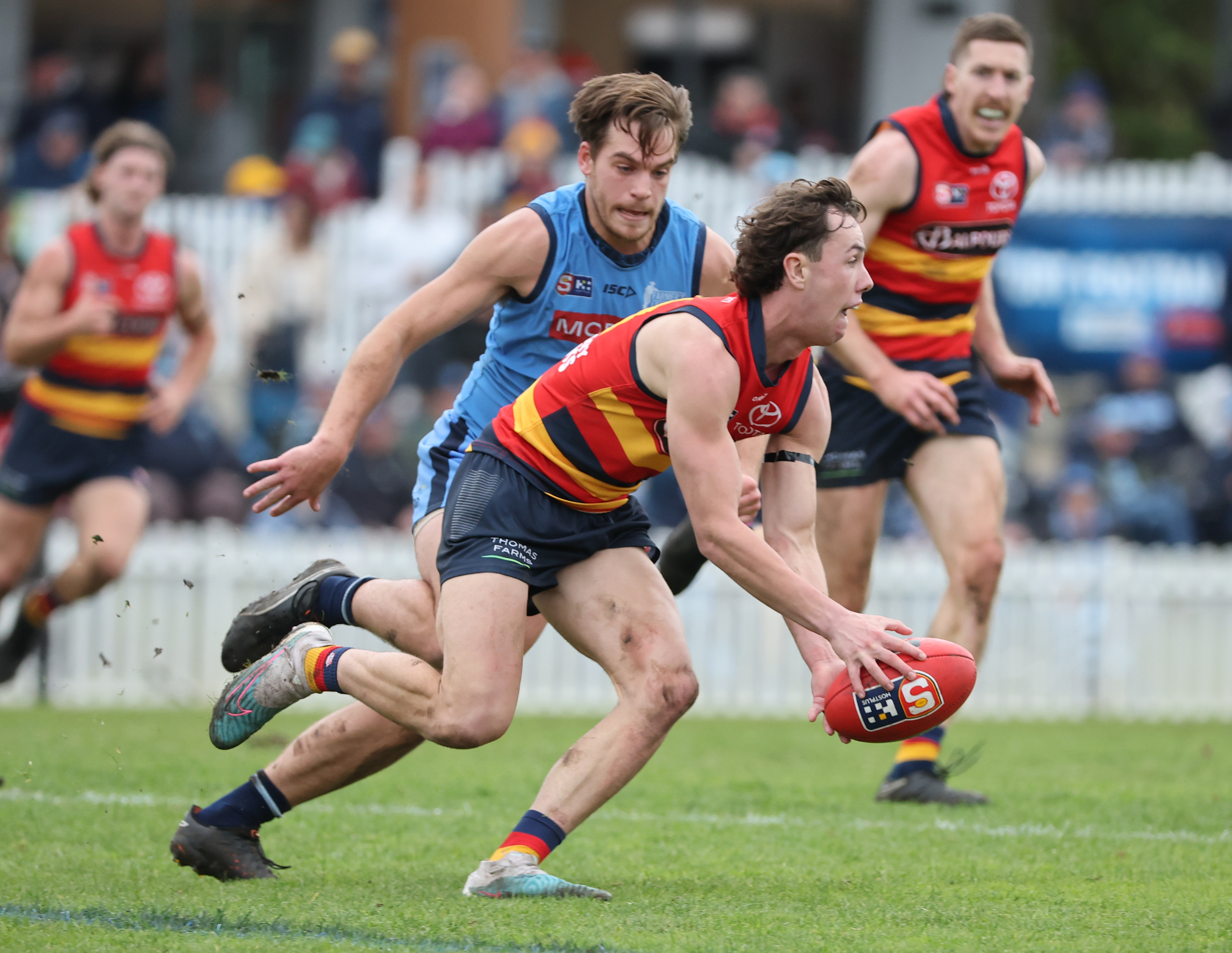 SFC V AFC | 2023 Men's League PRELIMINARY FINAL 