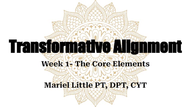 Transformative Alignment Week 1- The Core Elements