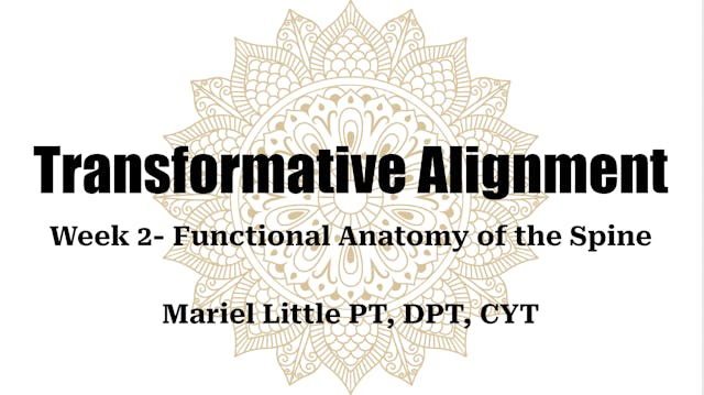 Transformative Alignment Week 2- Functional Anatomy of the Spine