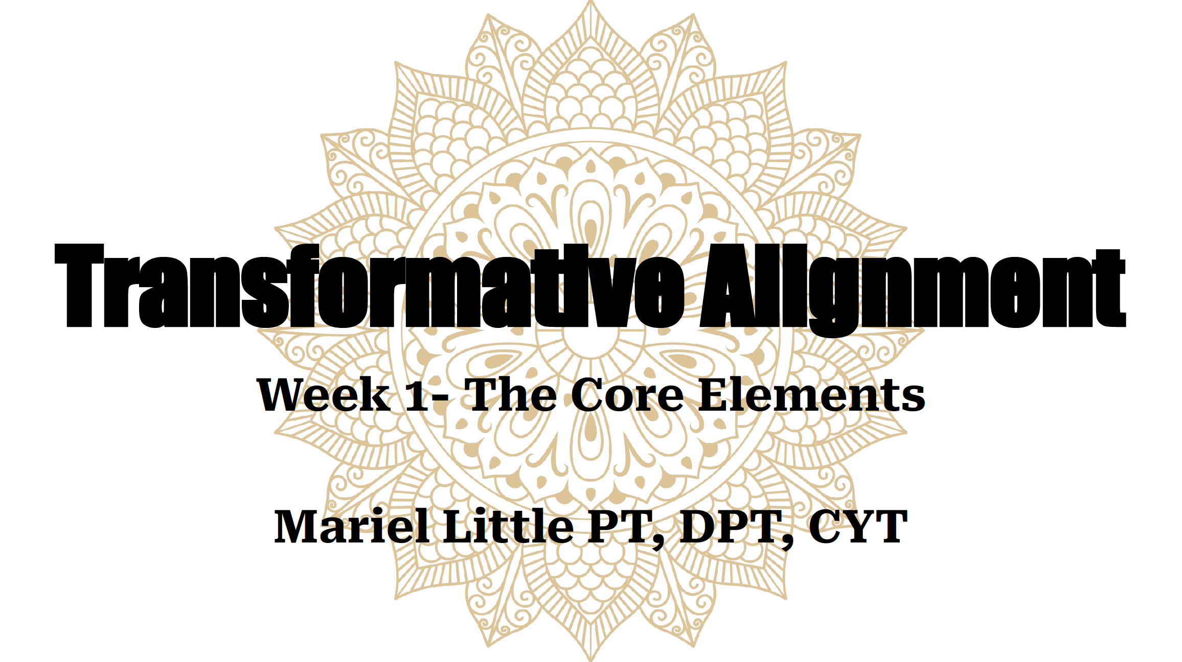 Transformative-Alignment-Week-1-.pdf