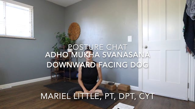 Posture Chat Downward Dog