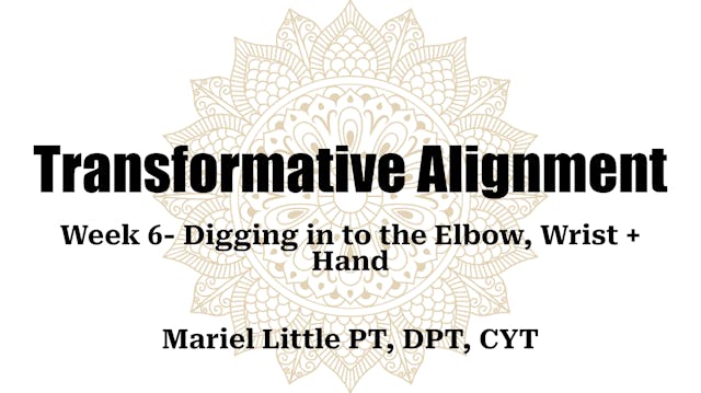 Transformative Alignment Week 6 - Digging into the Elbow, Wrist & Hand