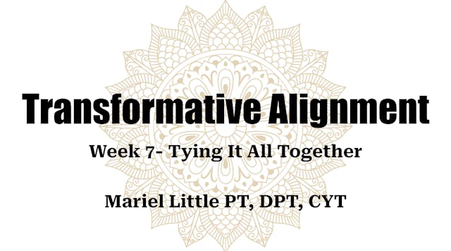 Transformative Alignment Week 7 - Tying it All Together