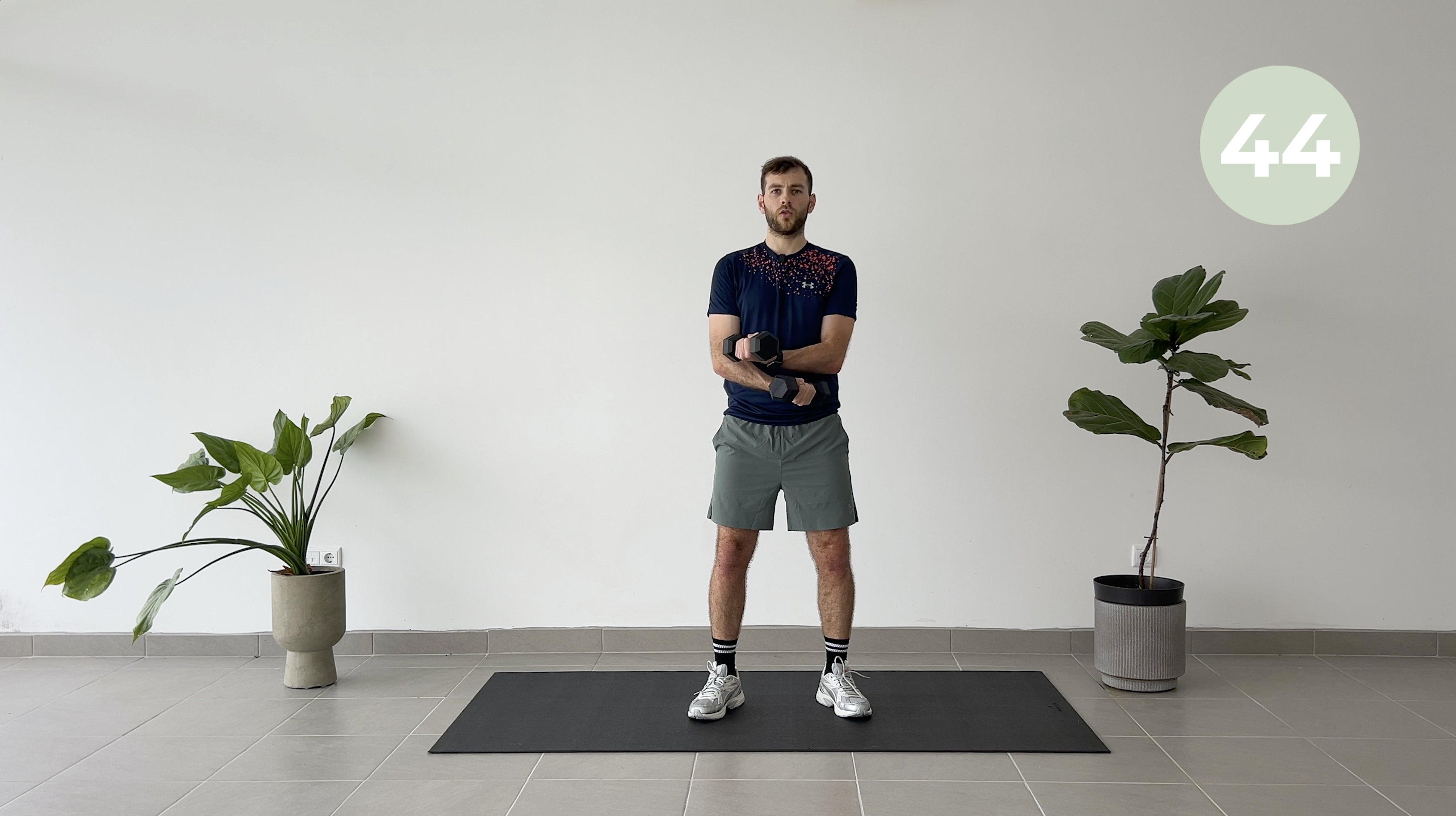 15 MINUTOS BRAÇOS COMPLETOS COM PESOS