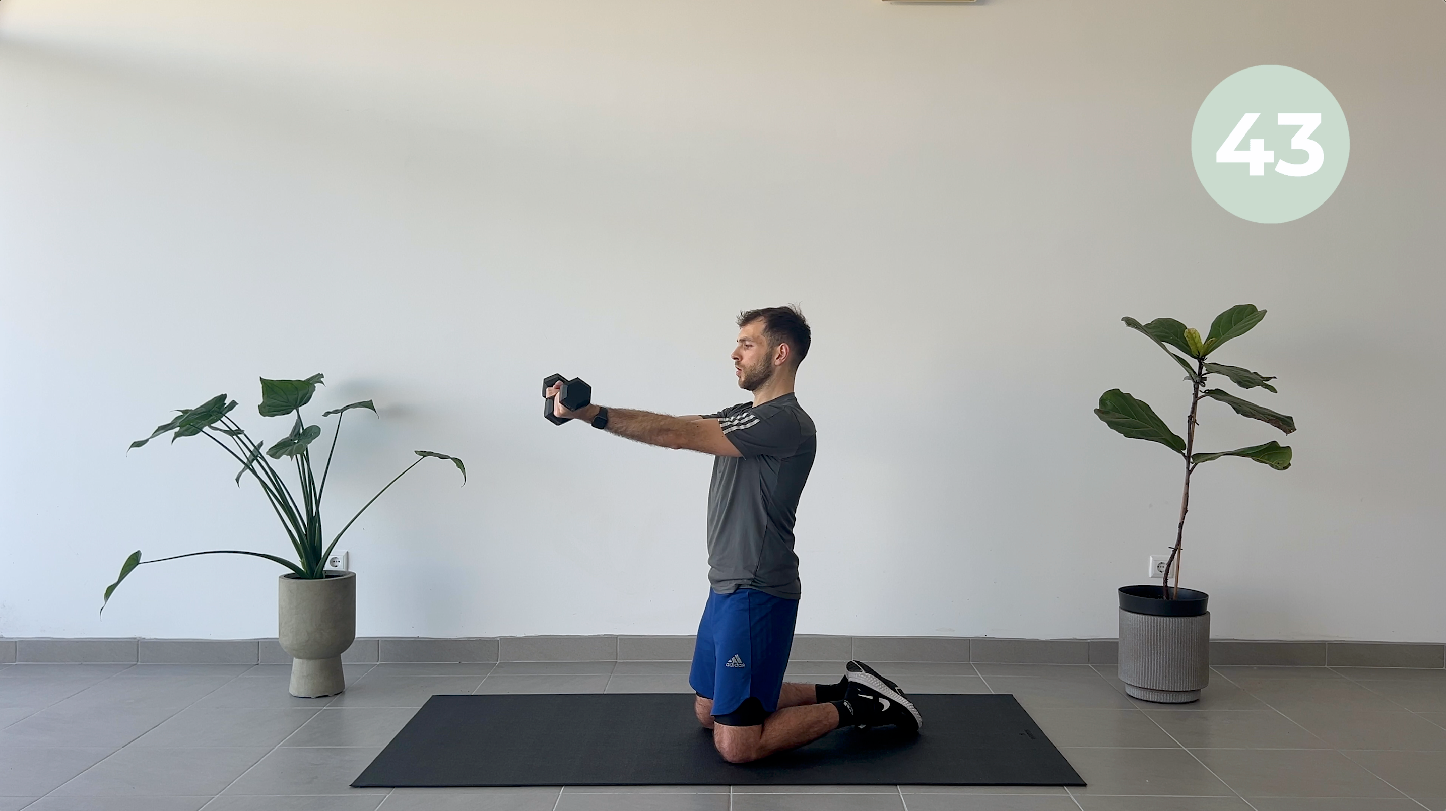 5 MINUTOS BRAÇOS + FORTES