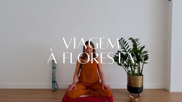 VIAGEM À FLORESTA