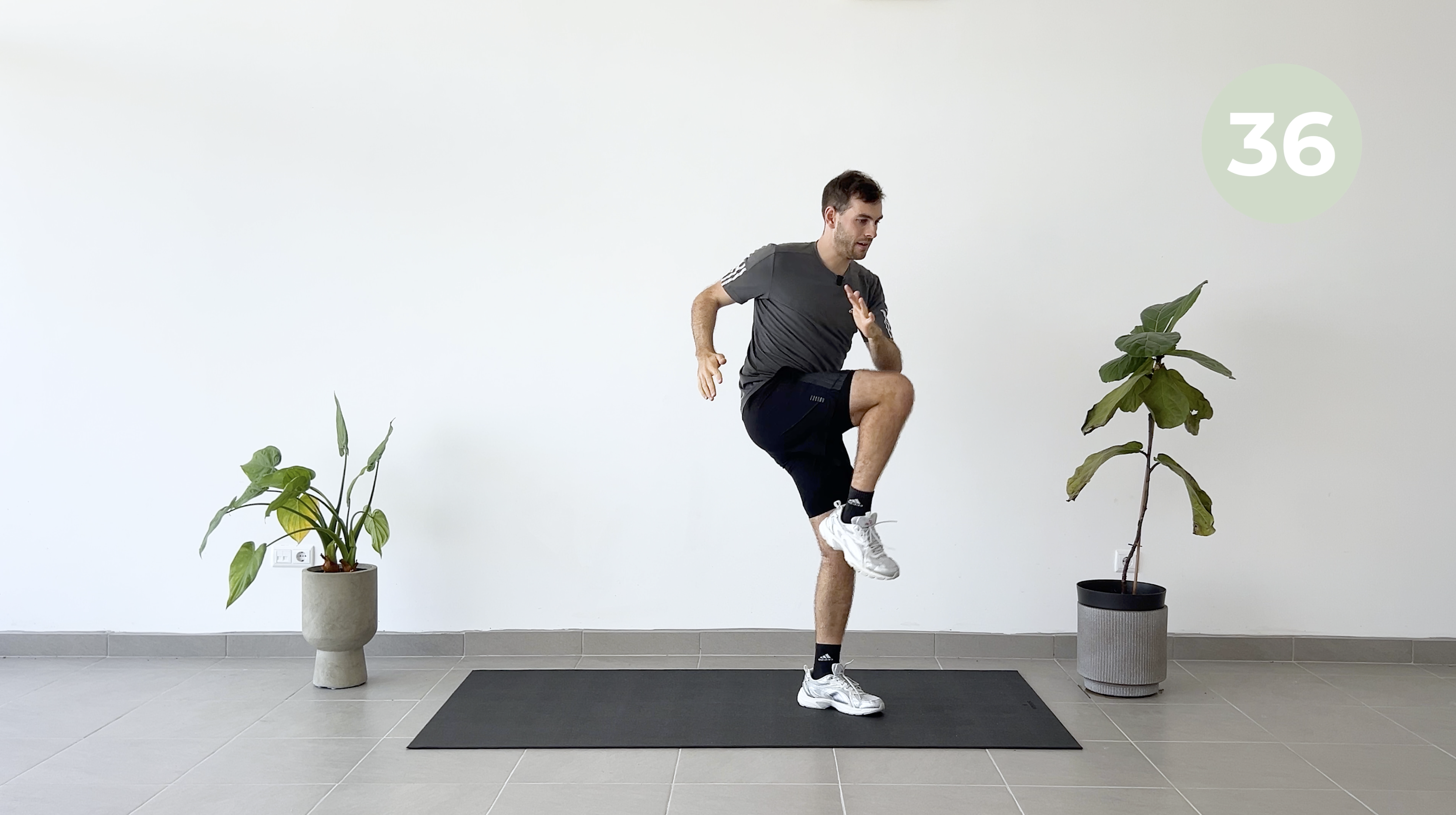 8 MIN EXPRESS FULL BODY SEM PAUSAS