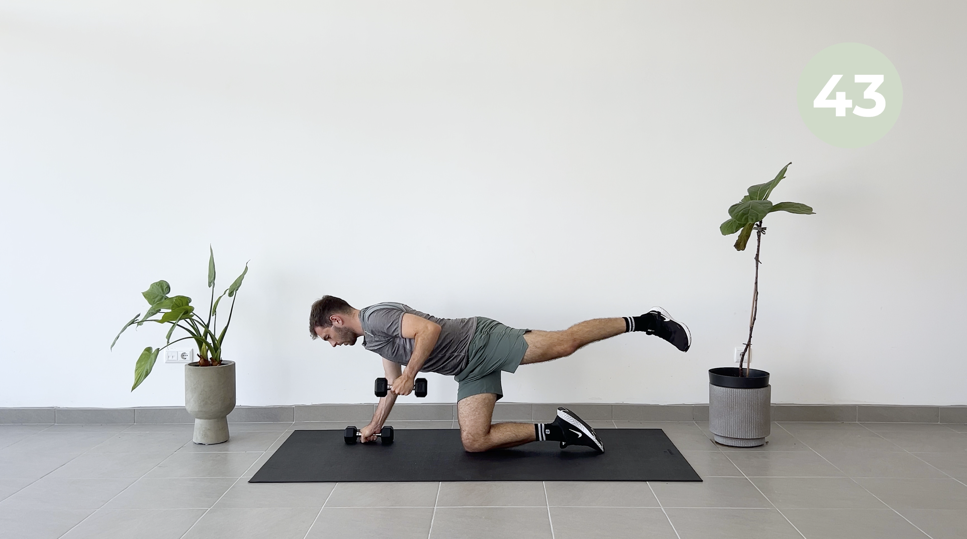 15 MIN EXPRESS FULL BODY POWER