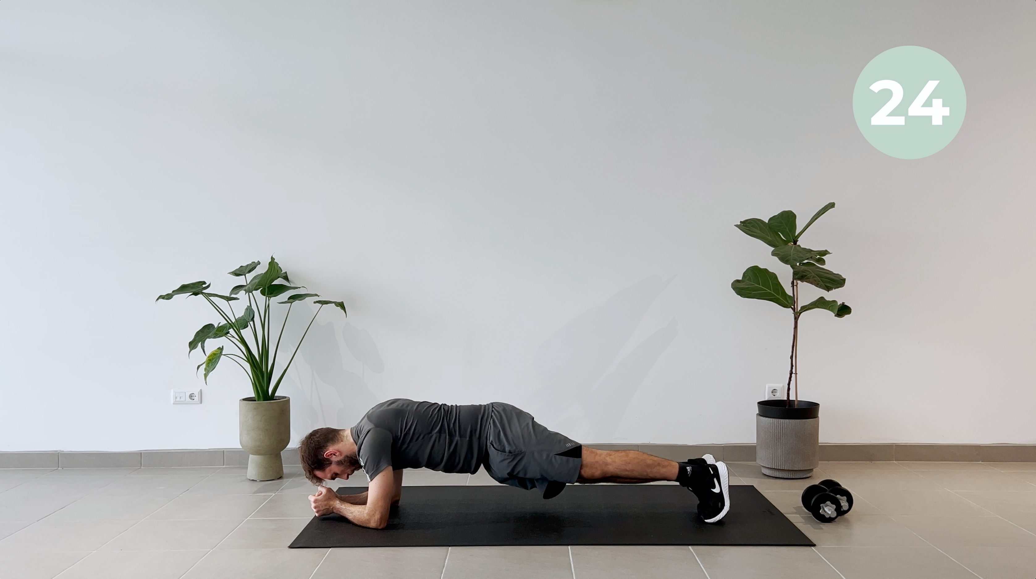 7 MINUTOS ABS EM PRANCHA