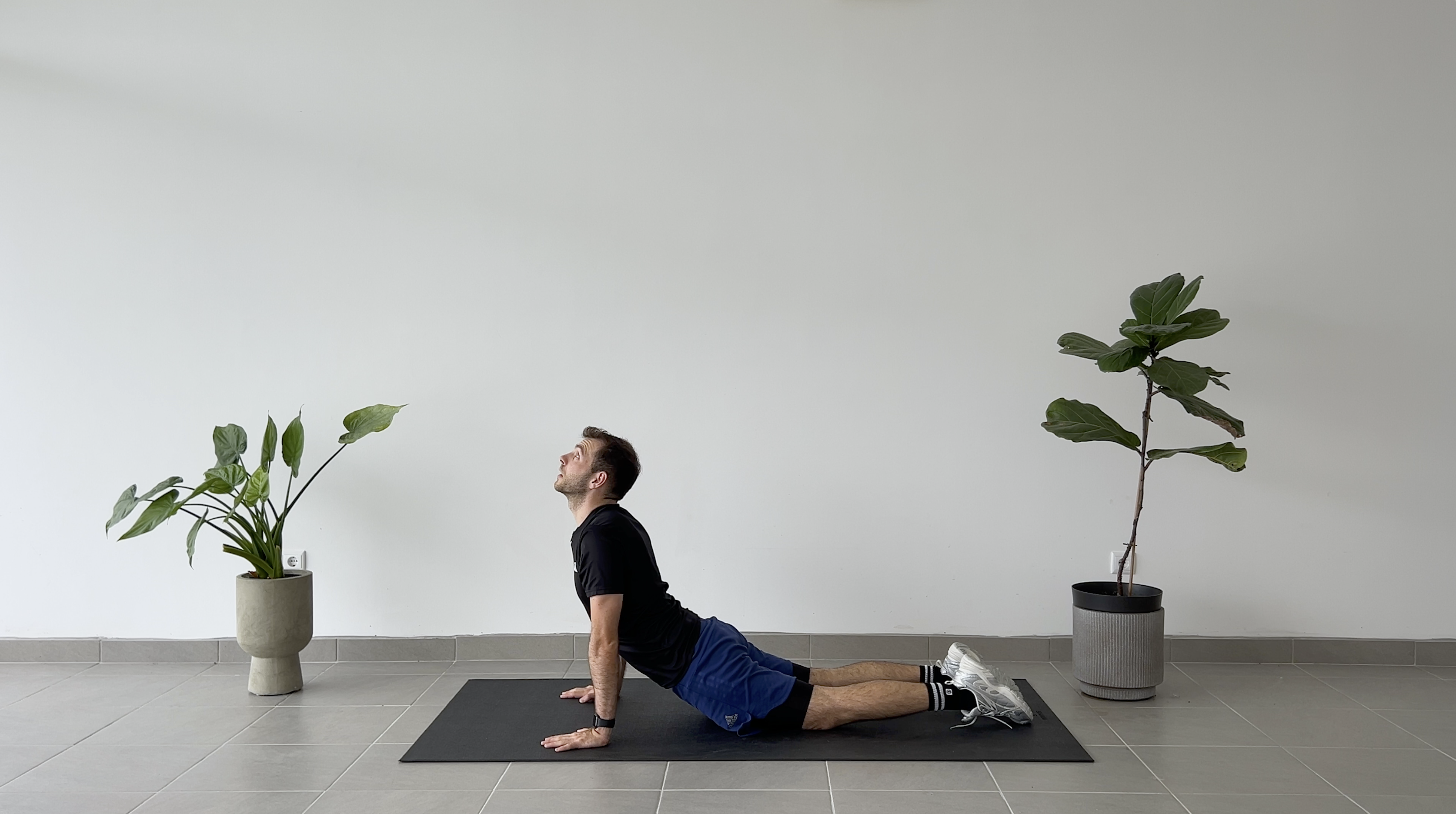 6 MINUTOS MOBILIDADE CORPO INTEIRO