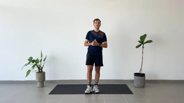 30 MIN FULL BODY LOW ENERGY
