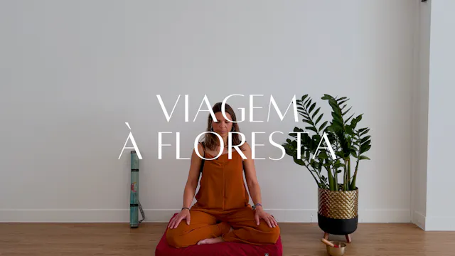 Viagem à floresta