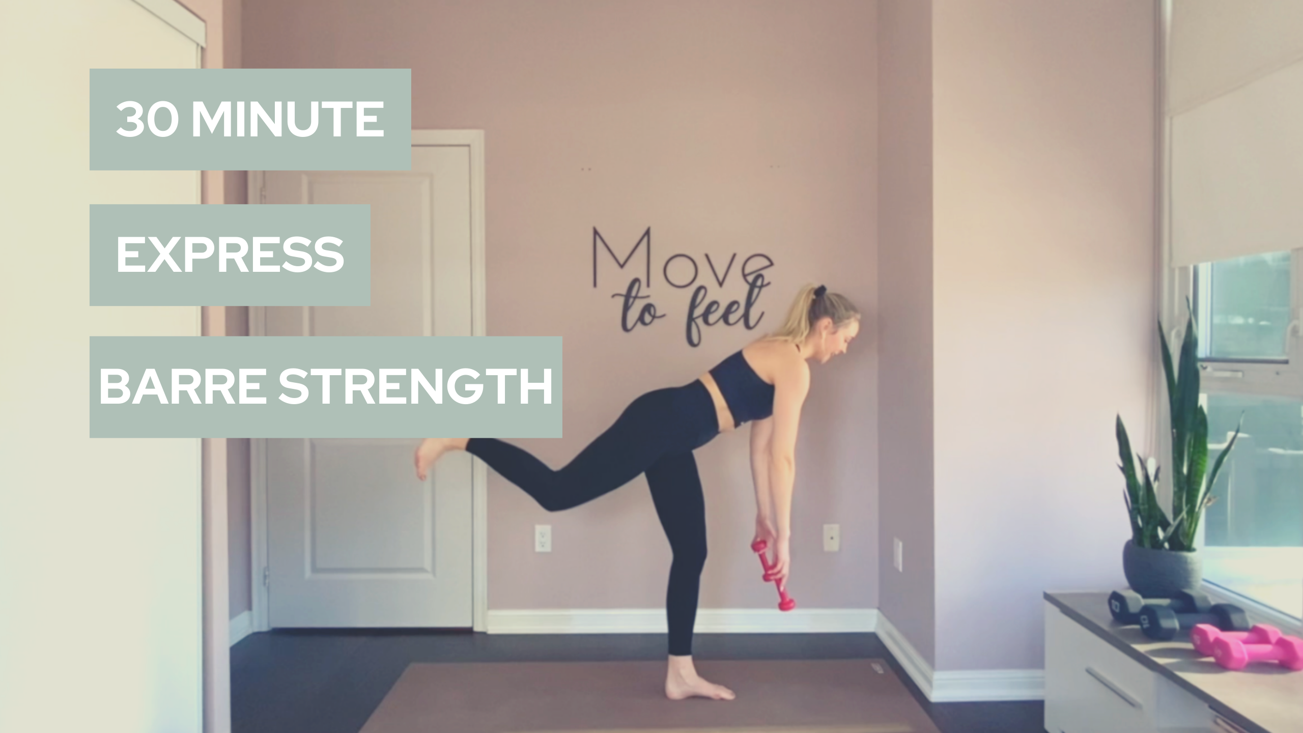  Lady Gaga- 30 Minute Express Barre Strength